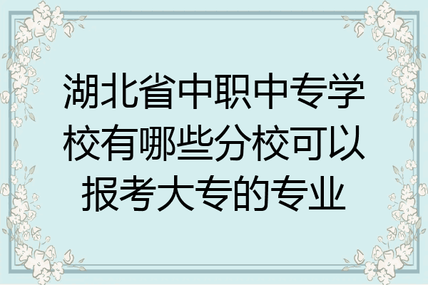 湖北省中职中专学校有哪些分校可以报考大专的专业