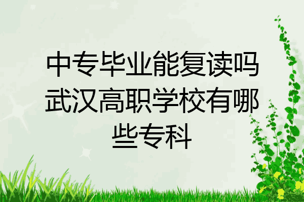中专毕业能复读吗武汉高职学校有哪些专科