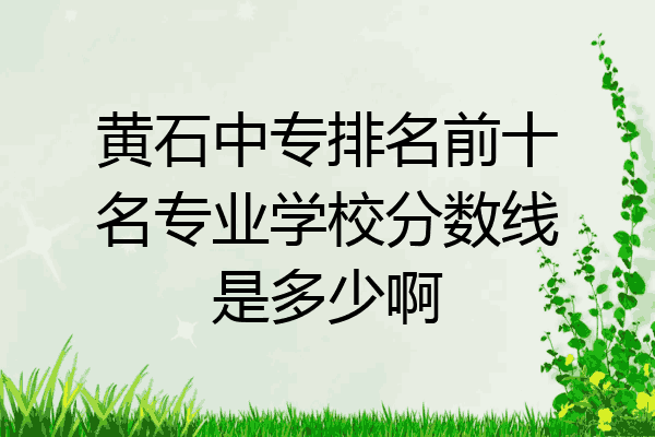 黄石中专排名前十名专业学校分数线是多少啊