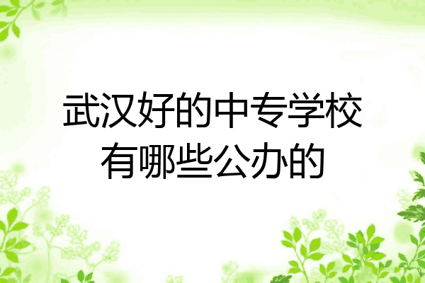 武汉好的中专学校有哪些公办的