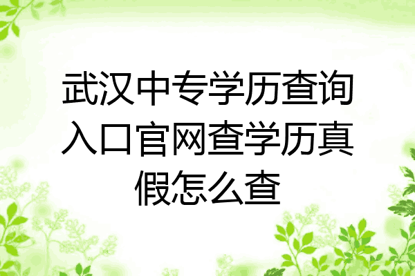 武汉中专学历查询入口官网查学历真假怎么查