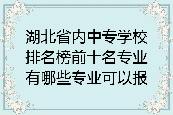 湖北省内中专学校排名榜前十名专业有哪些专业可以报