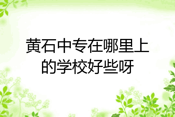 黄石中专在哪里上的学校好些呀