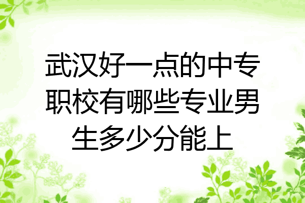 武汉好一点的中专职校有哪些专业男生多少分能上
