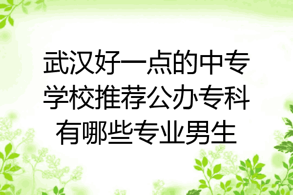 武汉好一点的中专学校推荐公办专科有哪些专业男生