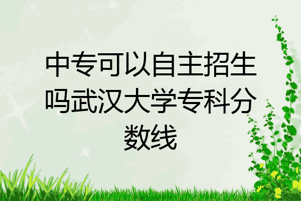 中专可以自主招生吗武汉大学专科分数线