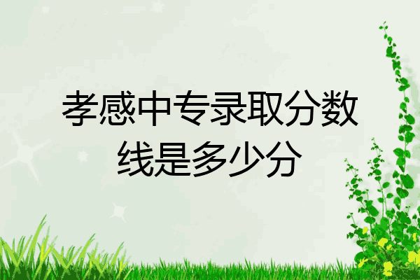 孝感中专录取分数线是多少分