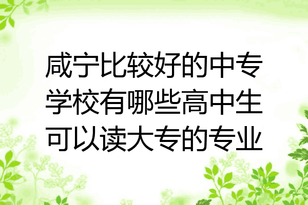 咸宁比较好的中专学校有哪些高中生可以读大专的专业