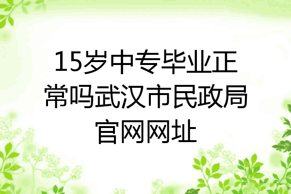 15岁中专毕业正常吗武汉市民政局官网网址