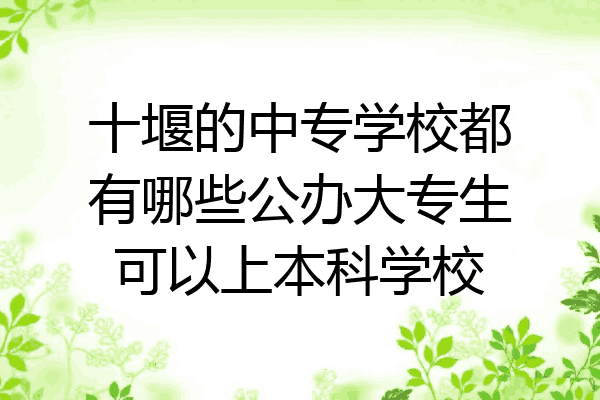 十堰的中专学校都有哪些公办大专生可以上本科学校