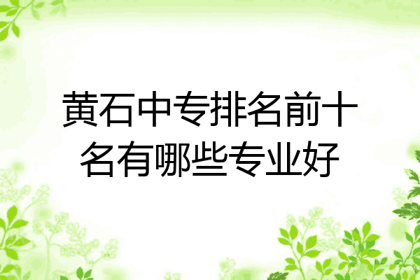 黄石中专排名前十名有哪些专业好