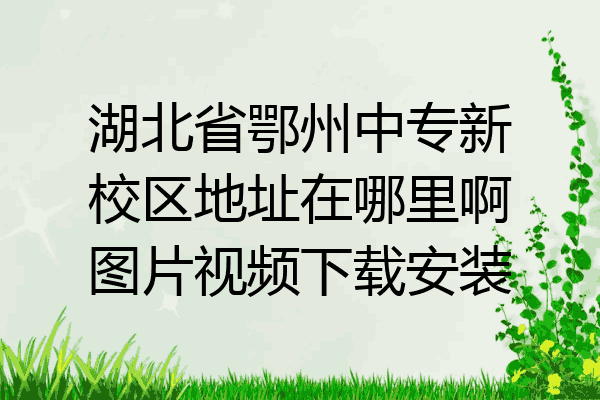 湖北省鄂州中专新校区地址在哪里啊图片视频下载安装