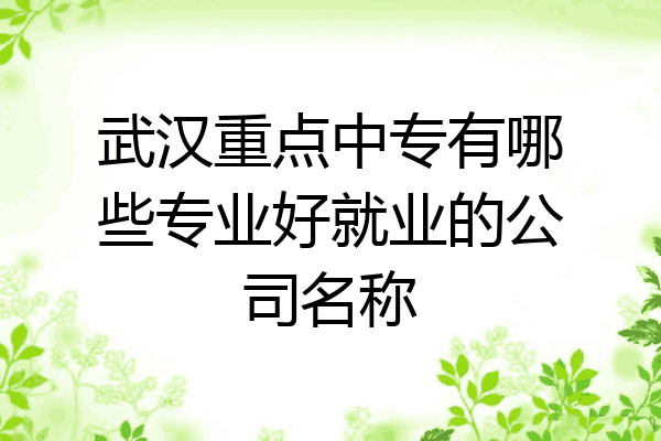 武汉重点中专有哪些专业好就业的公司名称