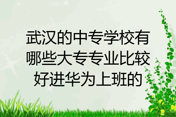 武汉的中专学校有哪些大专专业比较好进华为上班的