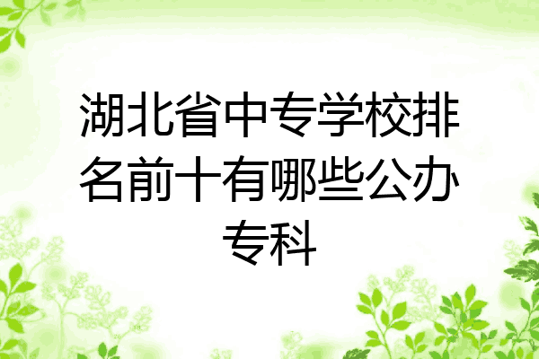 湖北省中专学校排名前十有哪些公办专科