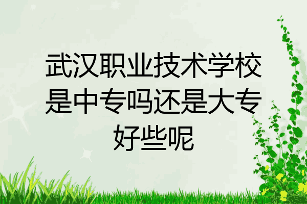武汉职业技术学校是中专吗还是大专好些呢
