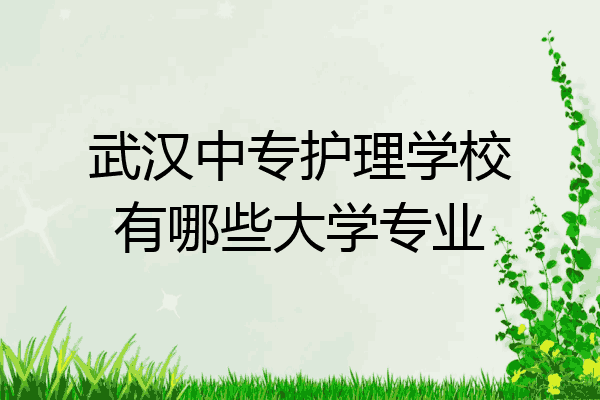 武汉中专护理学校有哪些大学专业