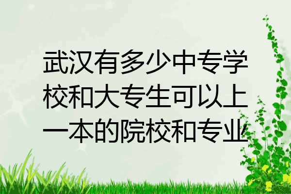 武汉有多少中专学校和大专生可以上一本的院校和专业