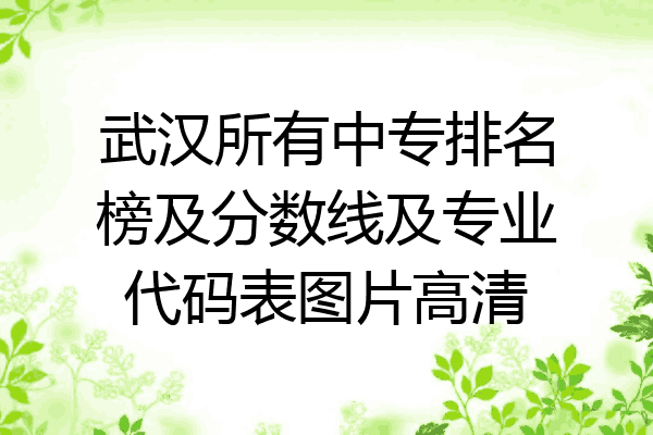 武汉所有中专排名榜及分数线及专业代码表图片高清