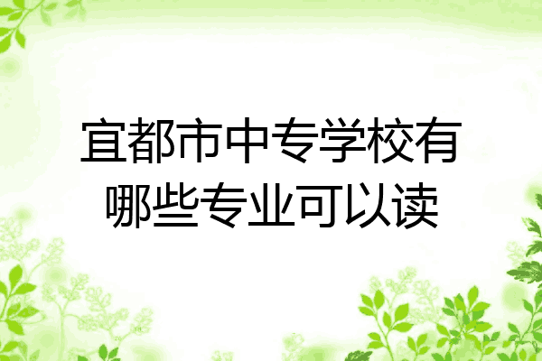 宜都市中专学校有哪些专业可以读