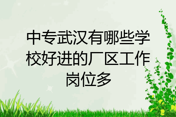 中专武汉有哪些学校好进的厂区工作岗位多
