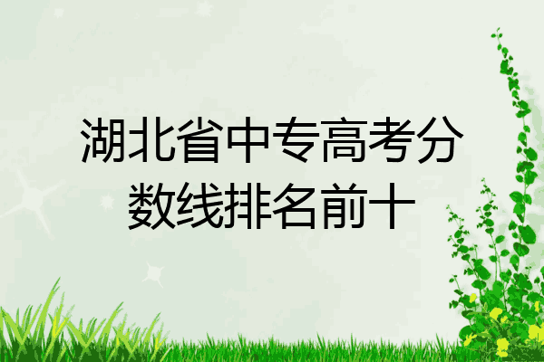 湖北省中专高考分数线排名前十