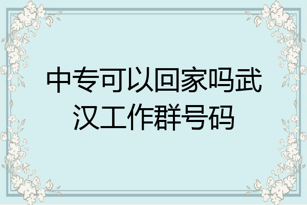 中专可以回家吗武汉工作群号码