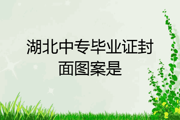 湖北中专毕业证封面图案是