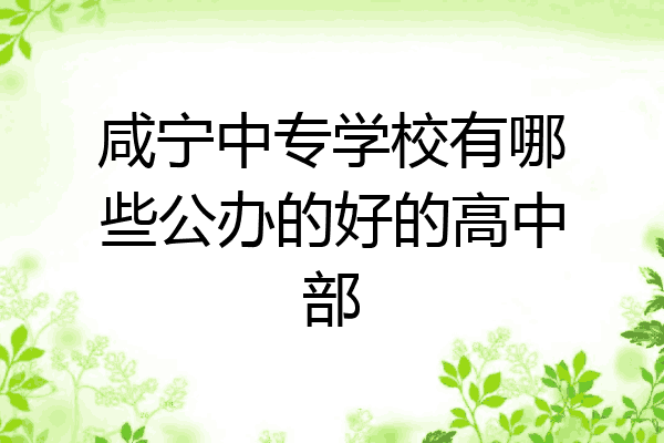 咸宁中专学校有哪些公办的好的高中部