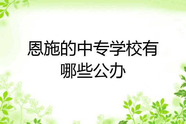 恩施的中专学校有哪些公办