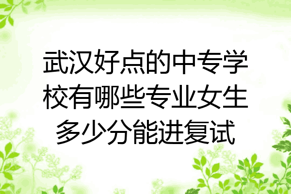 武汉好点的中专学校有哪些专业女生多少分能进复试