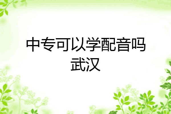 中专可以学配音吗武汉