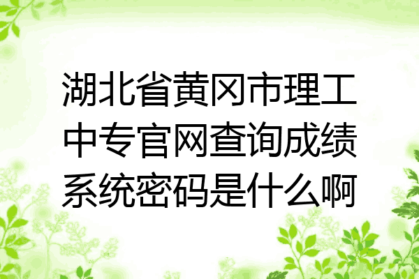 湖北省黄冈市理工中专官网查询成绩系统密码是什么啊