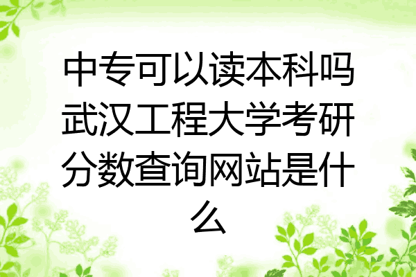 中专可以读本科吗武汉工程大学考研分数查询网站是什么