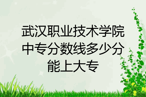 武汉职业技术学院中专分数线多少分能上大专