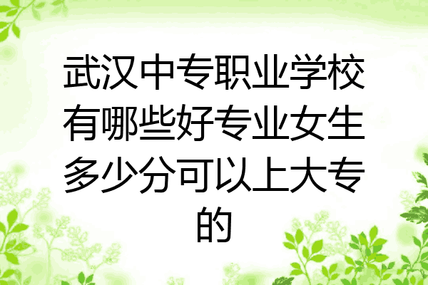 武汉中专职业学校有哪些好专业女生多少分可以上大专的