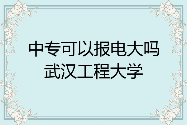 中专可以报电大吗武汉工程大学