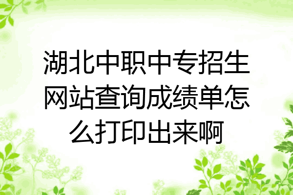 湖北中职中专招生网站查询成绩单怎么打印出来啊