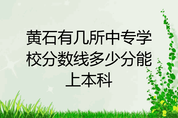 黄石有几所中专学校分数线多少分能上本科