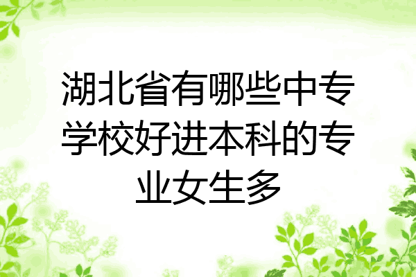 湖北省有哪些中专学校好进本科的专业女生多