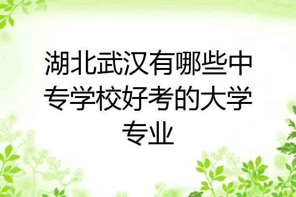 湖北武汉有哪些中专学校好考的大学专业