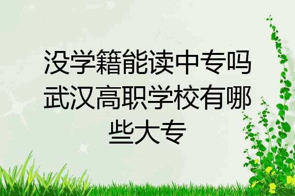 没学籍能读中专吗武汉高职学校有哪些大专