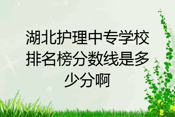 湖北护理中专学校排名榜分数线是多少分啊