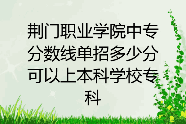 荆门职业学院中专分数线单招多少分可以上本科学校专科