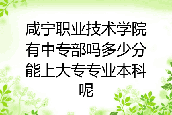 咸宁职业技术学院有中专部吗多少分能上大专专业本科呢
