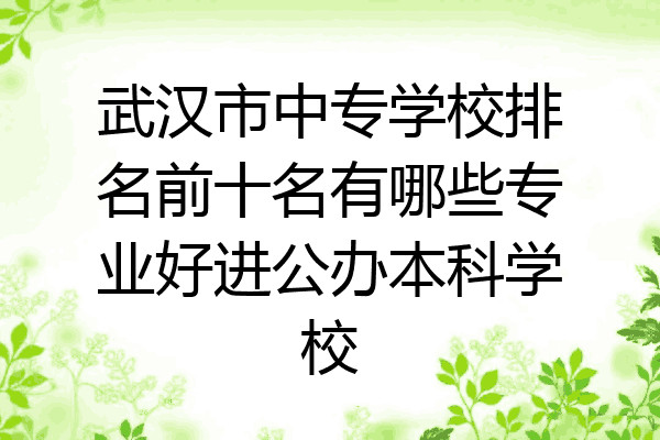 武汉市中专学校排名前十名有哪些专业好进公办本科学校