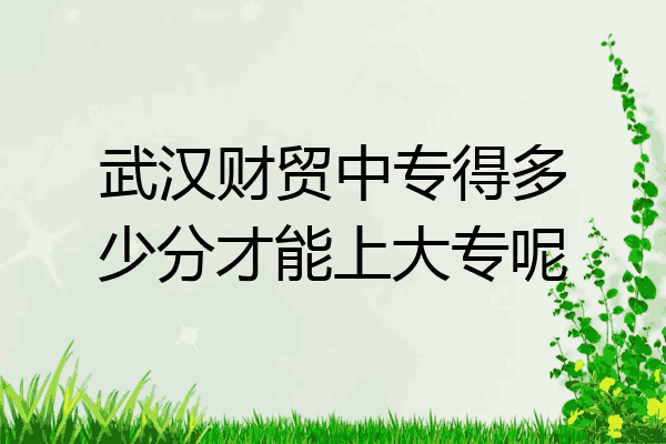 武汉财贸中专得多少分才能上大专呢