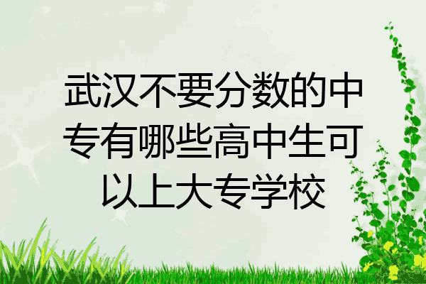武汉不要分数的中专有哪些高中生可以上大专学校