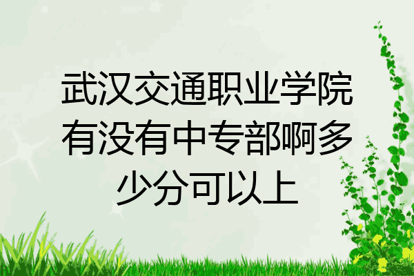 武汉交通职业学院有没有中专部啊多少分可以上