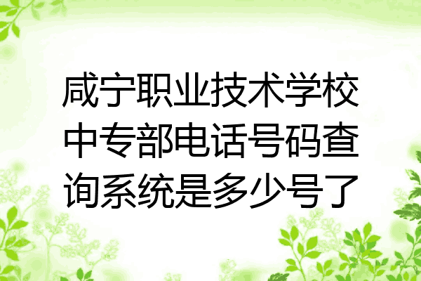 咸宁职业技术学校中专部电话号码查询系统是多少号了